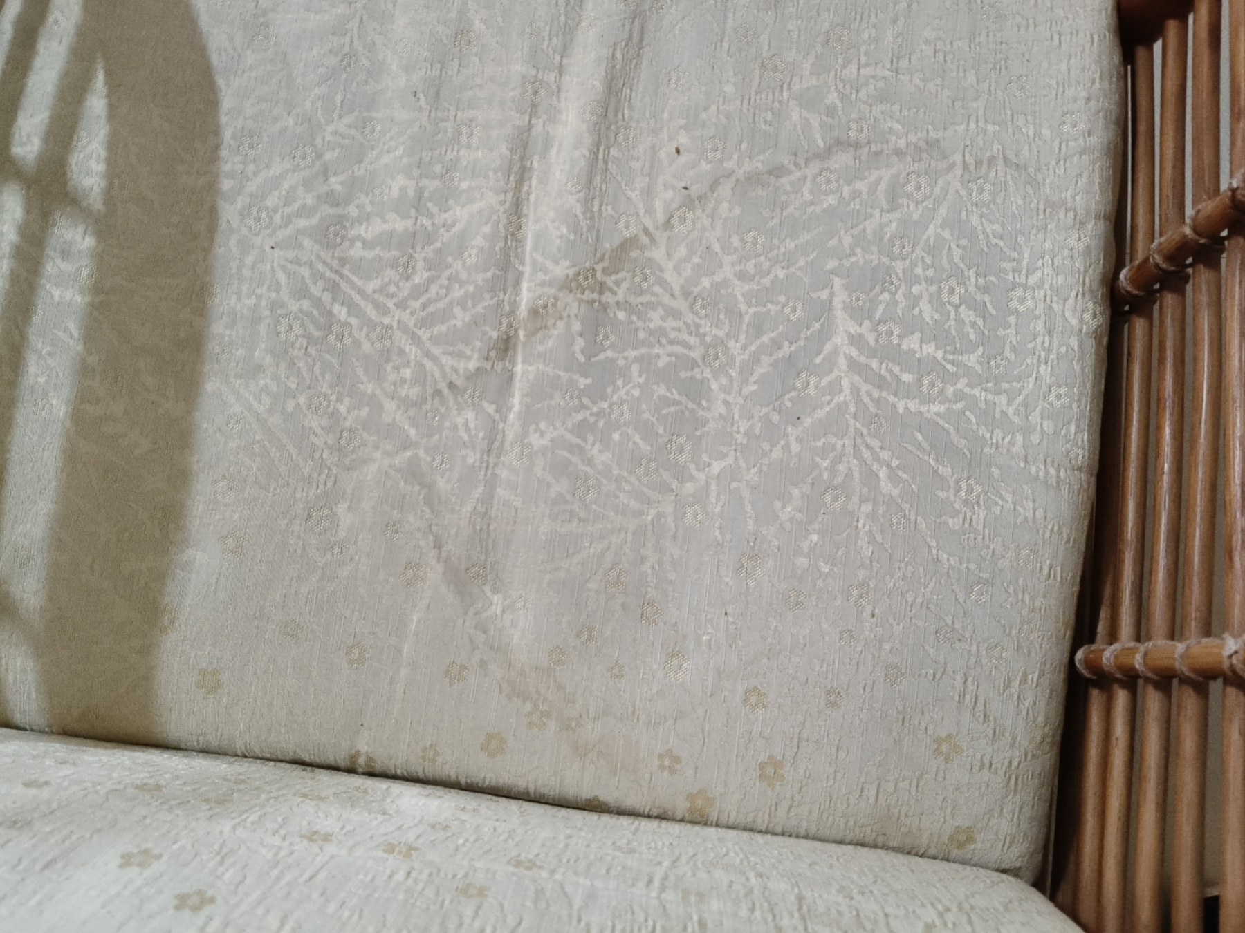 Sofa water stains and tide marks included under deep cleaning
